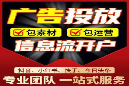 网络推广与竞价广告：双管齐下的策略案例